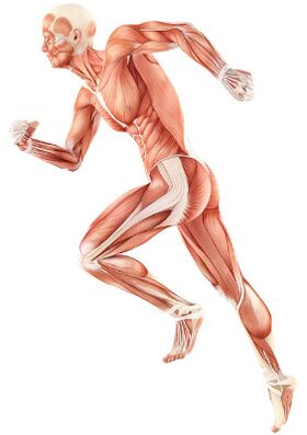 A neuromuscular depreciation violation